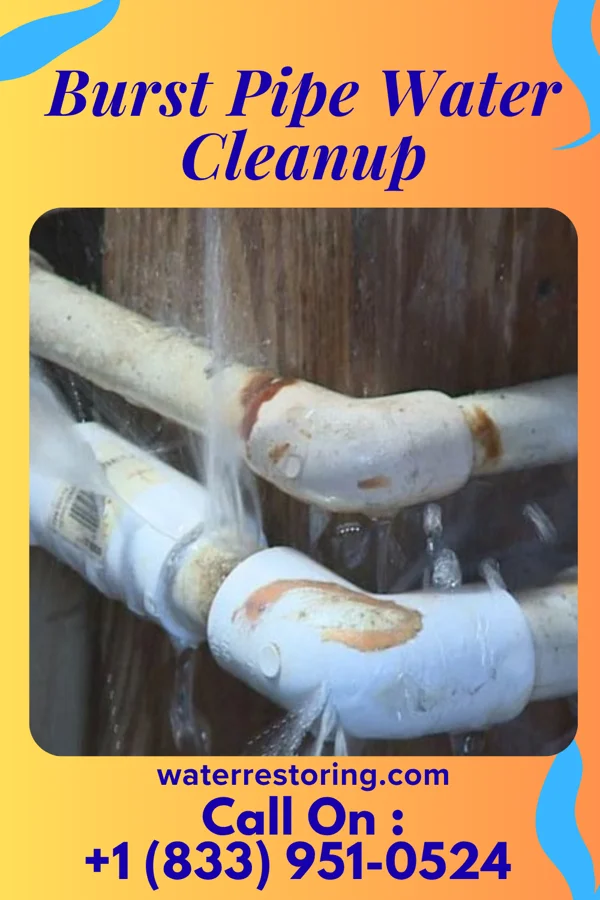 Burst Pipe Water Cleanup in Napoleon, MO