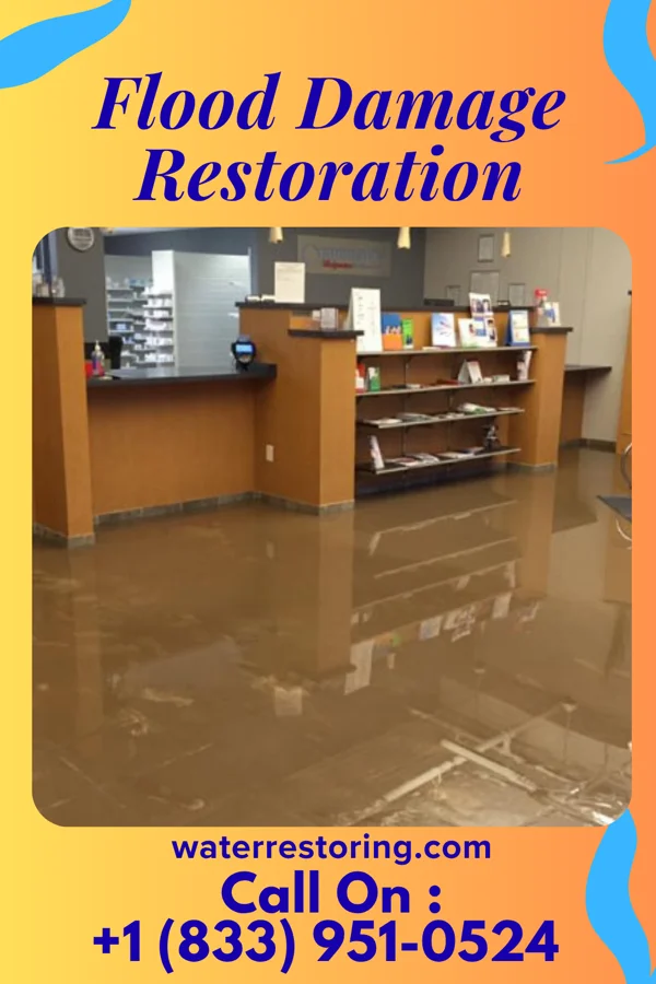 Flood Damage Restoration in Napoleon, MO